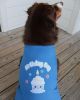 NEW Birthday Boy Tank Shirt