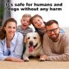 Dog Barking Control Training Devices Deterrent with LED Flashlight