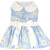 Blue Daisy Dog Dress with Matching Leash new Spring 2024