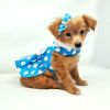 Blue Polka Dot Dress