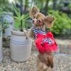 Cherry Stripe Harness Dress with Matching Leash New Spring 2024
