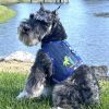 Surfboard Blue and Green Cool Mesh Dog Harness with Matching Leash