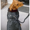 Black Top Flight Coat