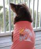 NEW Gone To The Beach Tank Shirt - Coral