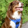 Venture Paw PULL CONTROL Harness - Mountain Lake -          Made with tough Outer Duck Fabric and Soft Mesh Lining. No Pulling / Front and Top D-Ring