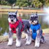 Venture Paw PULL CONTROL Harness - Mountain Lake -          Made with tough Outer Duck Fabric and Soft Mesh Lining. No Pulling / Front and Top D-Ring