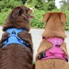 Venture Paw PULL CONTROL Harness - Mountain Lake -          Made with tough Outer Duck Fabric and Soft Mesh Lining. No Pulling / Front and Top D-Ring