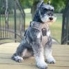 Venture Paw PULL CONTROL Harness - Sage -          Made with tough Outer Duck Fabric and Soft Mesh Lining. No Pulling Front and Top D-Ring