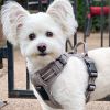 Venture Paw PULL CONTROL Harness - Sage -          Made with tough Outer Duck Fabric and Soft Mesh Lining. No Pulling Front and Top D-Ring