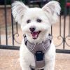 Venture Paw PULL CONTROL Harness - Sage -          Made with tough Outer Duck Fabric and Soft Mesh Lining. No Pulling Front and Top D-Ring